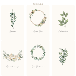 Kaarten Eucalyptus (set/los)
