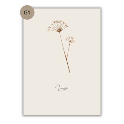 Kaarten Bloemen (set/los) - Afbeelding 2
