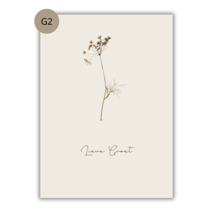 Kaarten Bloemen (set/los) - Afbeelding 3