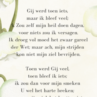 Boekenlegger 1